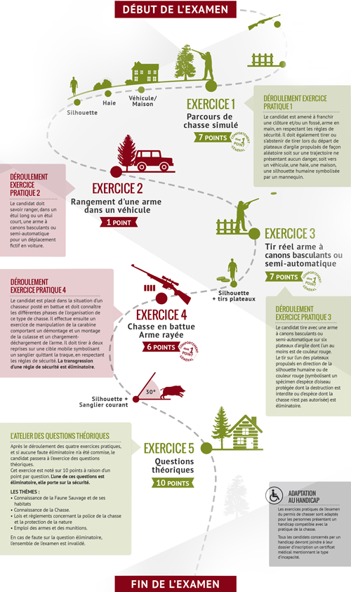 Infographie chasse